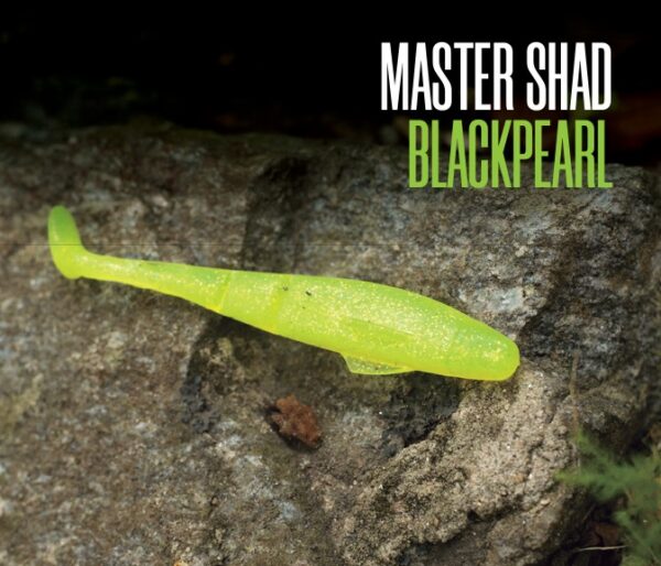 Kit 6 Iscas artificiais MASTER SHAD